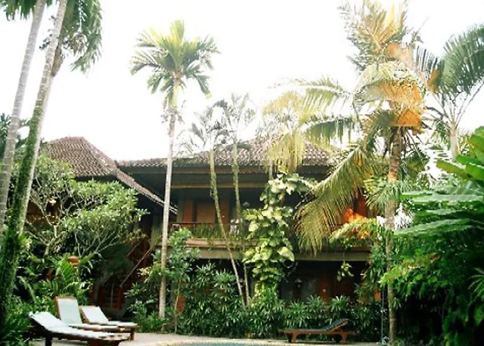 Hotel Adi 3*