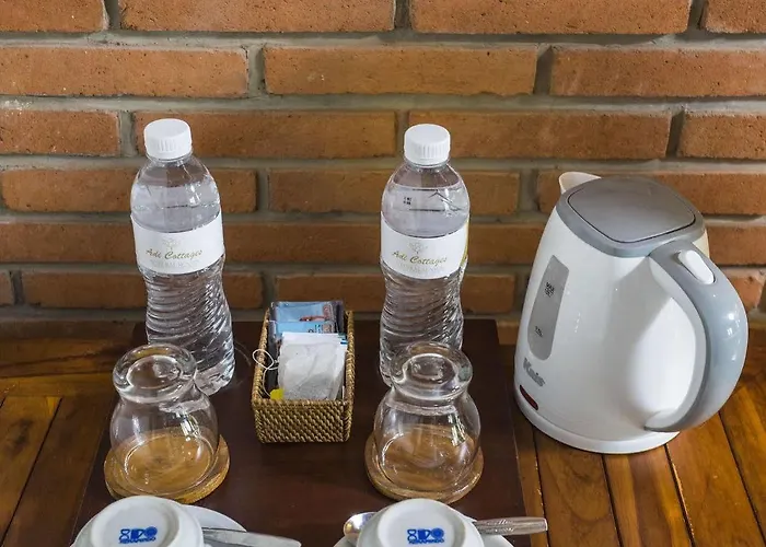 Adi Hotel Ubud (Bali)